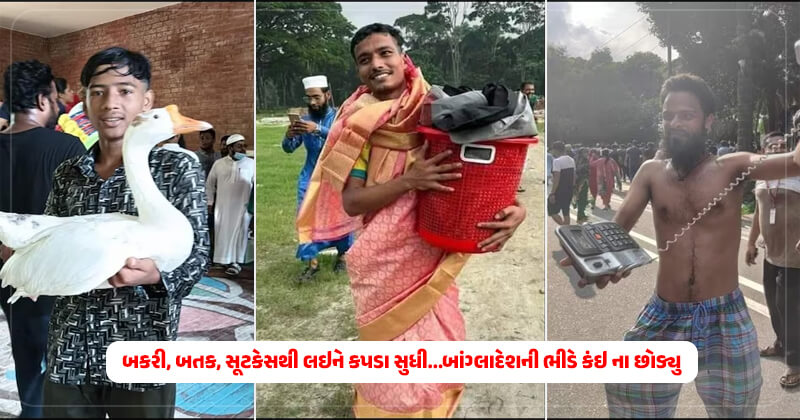 બાંગ્લાદેશના PM આવાસમાં બકરી, બતક, સૂટકેસથી લઇને કપડા સુધી…બાંગ્લાદેશની ભીડે કંઇ ના છોડ્યુ, કેટલાક બેડ પર સૂતેલા જોવા મળ્યા