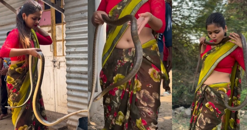 અરે બાપરે… આ છોકરીએ સાડી પહેરીને એક સાથે બે સાપને દબોચી લીધા, લોકોએ કહ્યું- ‘ઈચ્છાધારી નાગિન હશે!’