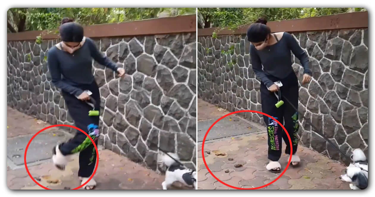 જાહ્નવી કપૂરની બહેન ખુશી કપૂર છવાઇ સોશિયલ મીડિયામાં, કૂતરાની ‘પોટી’ પર મૂક્યો પગ, વાયરલ થયો વીડિયો