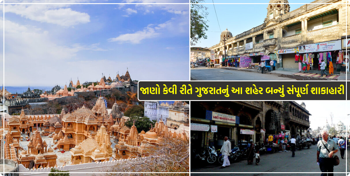ગુજરાતનું આ શહેર છે દુનિયાનું પહેલું શાકાહારી શહેર, એકવાર તો ફરવા જવું જ જોઈએ