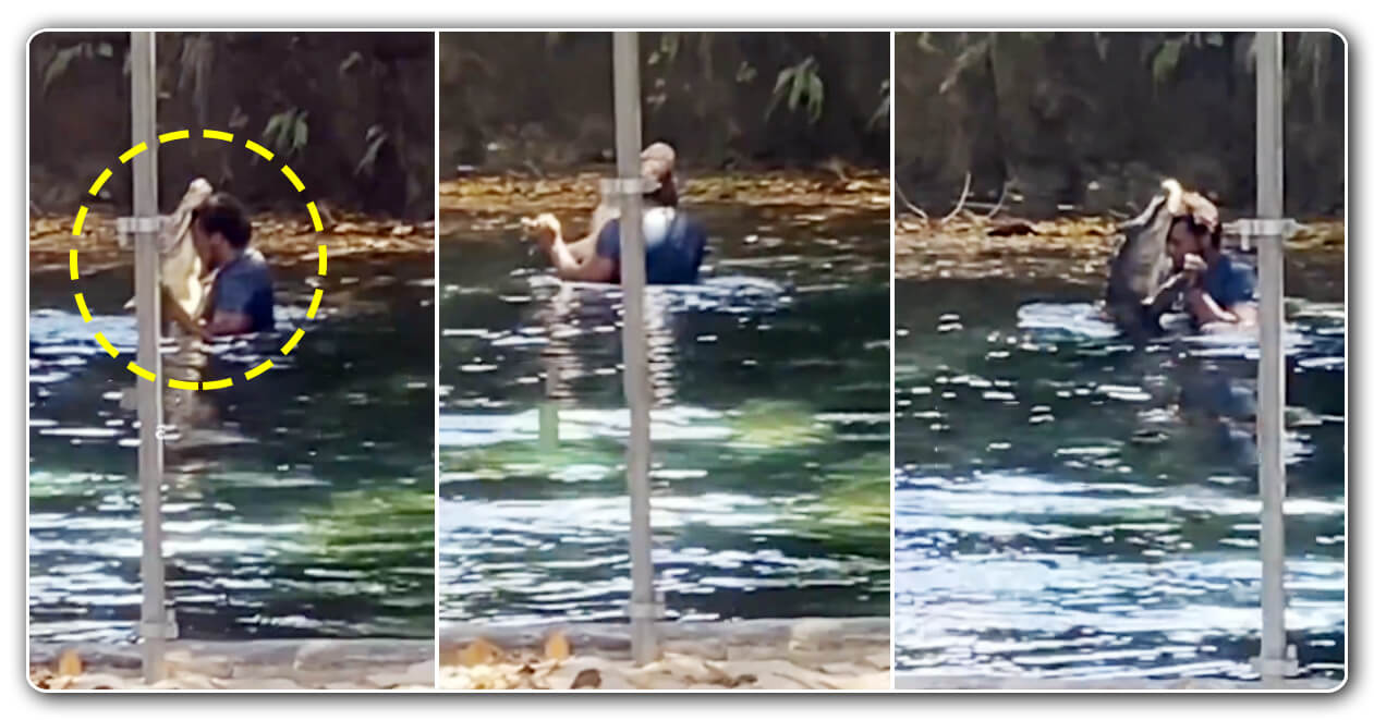 આ વ્યક્તિએ ખુંખાર મગરમચ્છ સાથે પાણીમાં કર્યો ડાન્સ, લોકોએ કહ્યું, આનાથી ખતરનાક બીજુ કાઈ ના હોઈ શકે