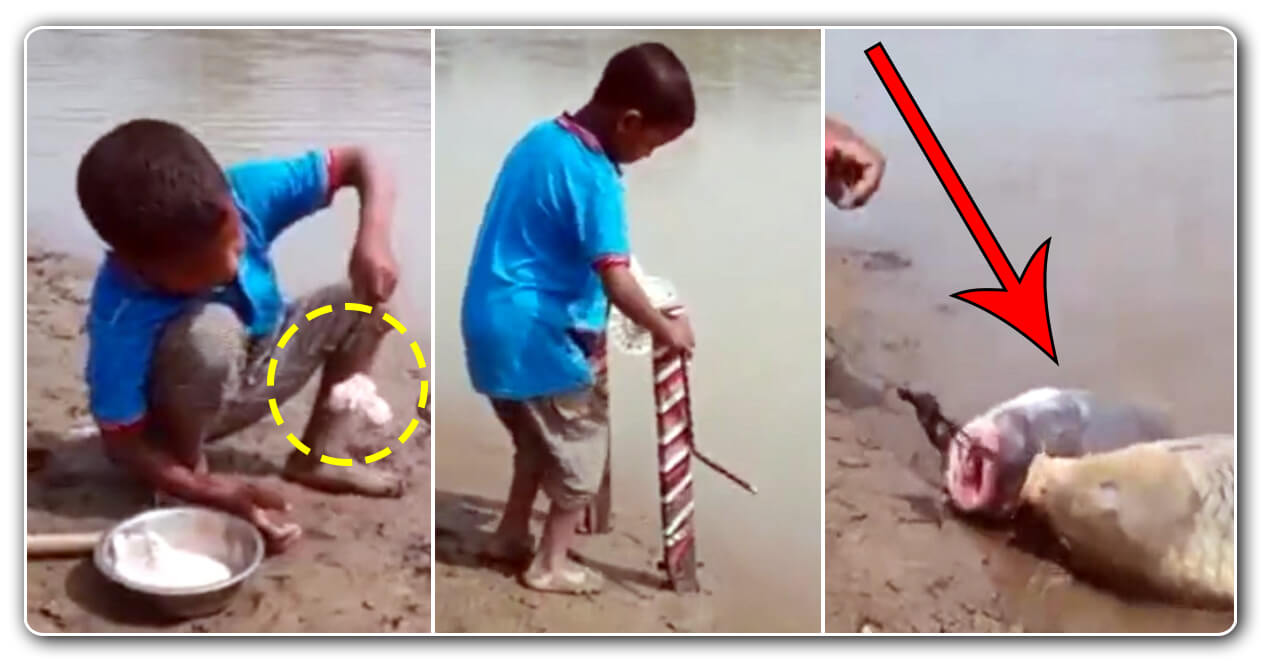 આ નાના ટેણીયાએ માછલી પકડવા માટે અપનાવ્યો એવો જુગાડ કે જોઈને આનંદ મહિન્દ્રા પણ તેના ફેન બની ગયા, જુઓ વીડિયો