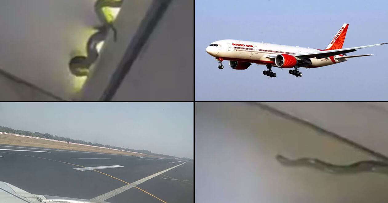 દુબઇ જતી એર ઇન્ડિયાના વિમાનમાં સાપ મળ્યો ? વાયરલ તસવીરો અને વીડિયો નીકળો ફેક, જાણો શું હતી હકીકત