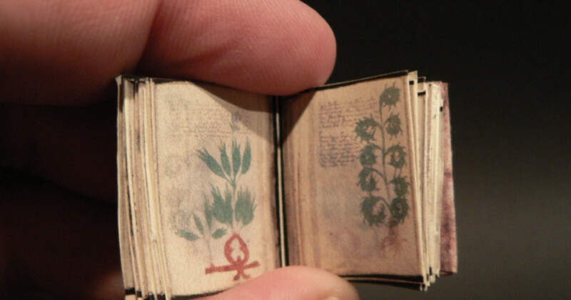 240 પાનની કામસૂત્ર જેવું 600 વર્ષ જૂનું એક રહસ્યમય પુસ્તક મળ્યું, નગ્ન તસવીરો પણ જોવા મળી, રહસ્ય ઘૂંટાયું, આખરે એવું તો શું છે ખાસ ? જુઓ વીડિયો