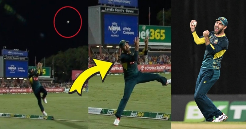 ગ્લેન મેક્સવેલે બાઉન્ડ્રી પર પકડ્યો હેરાન કરી દેનારો કેચ, વીડિયો જોઇ પહોળી થઇ જશે આંખો